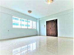 St. Michael's Condominium (D12), Apartment #537922251